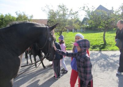 Sportovní, vzdělávací a komunitní akce pro podporu inkluze a komunitní spolupráce